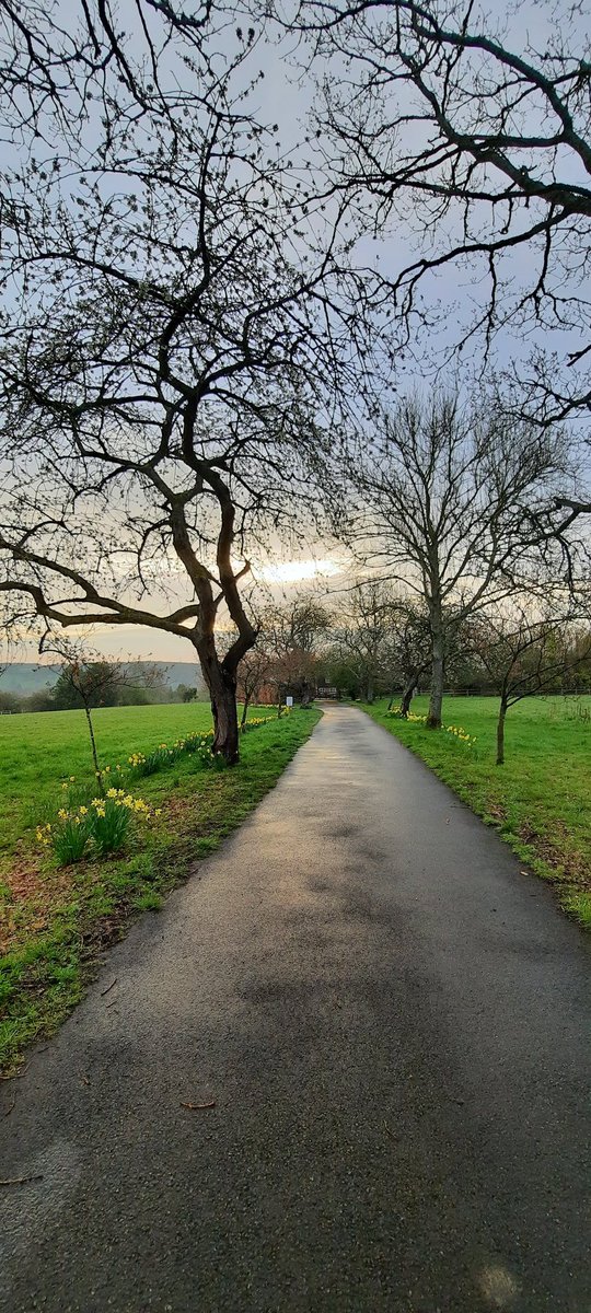 JC EARLY SUNRISES tweet media