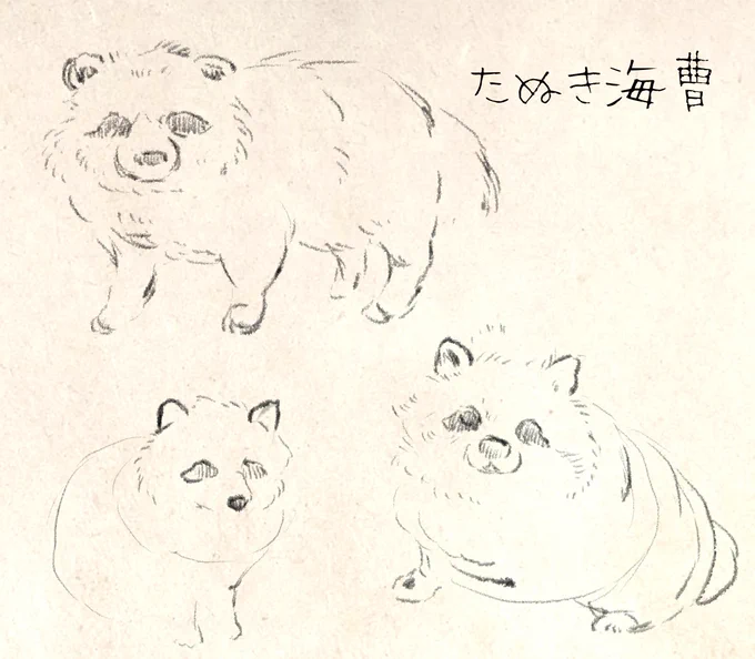 昨日からずーーーっと悩みまくってた新キャラ。
決まってよかった。
これは今回は流れたタヌキ士長。 