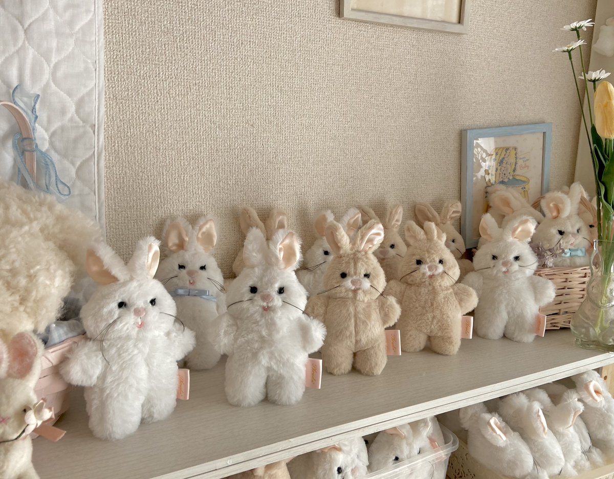 𝘈𝘬𝘪 . 𝘗𝘩𝘳𝘢𝘶𝘭𝘢* (@aki_phraula) on Twitter photo 