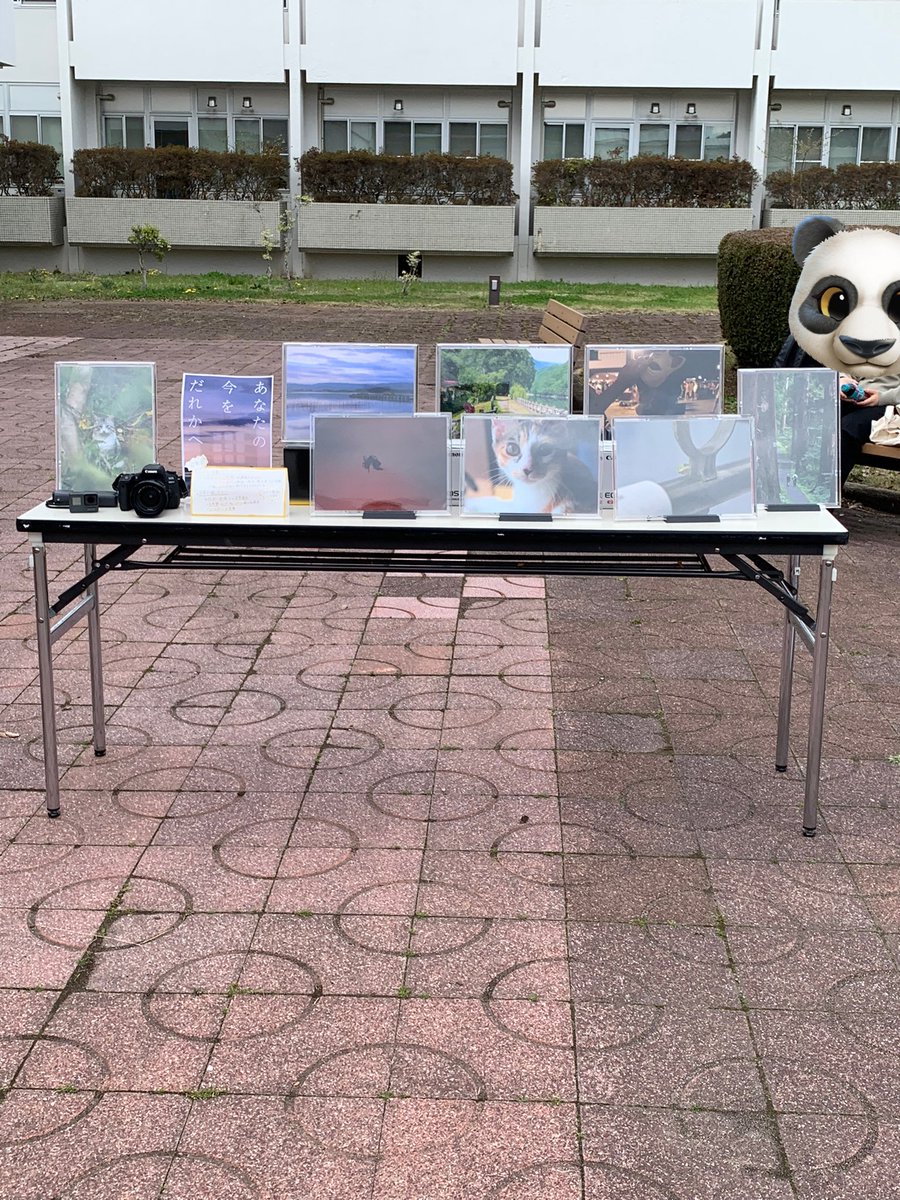 写真部のブース出来ました！！
お待ちしております！
#仙台高専広瀬 #仙台高専 #写真部