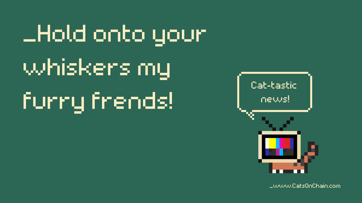 We've got some new cats in charge. Get ready to pounce our fellow cat lovers...big updates coming this month! Wen Meow? Soon!

#cardano #CNFT #CNFTGiveaways #CNFTProject #CNFTCollection #12DaysofMeow