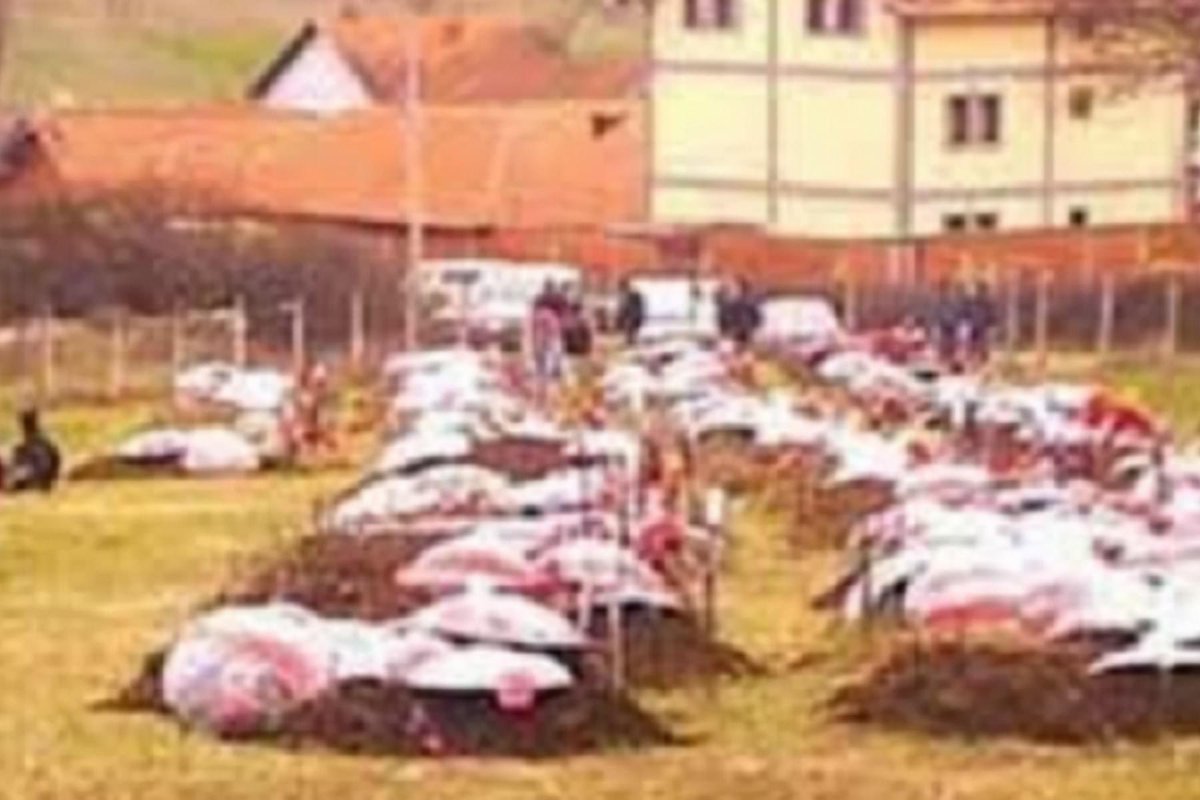 Alban31657347's tweet photo. Më 17 prill 1999, në fshatin #Poklek i Vjetër të komunës së #Drenasit, #Kosovë, ushtria barbare #serbe ka masakruar dhe vrarë, dhe pastaj i ka djegur kufomat e 53 shqiptarëve civil, duke filluar prej foshnjeve gjashtëmuajshe e deri te pleqët 75 vjeçar.
Emrat e viktimave: https://t.co/vIGLv6VfW9