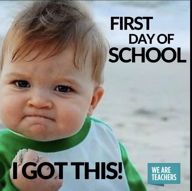 Mr Brown and Milo the wonder dog (@mrbrown_milo) on Twitter photo 