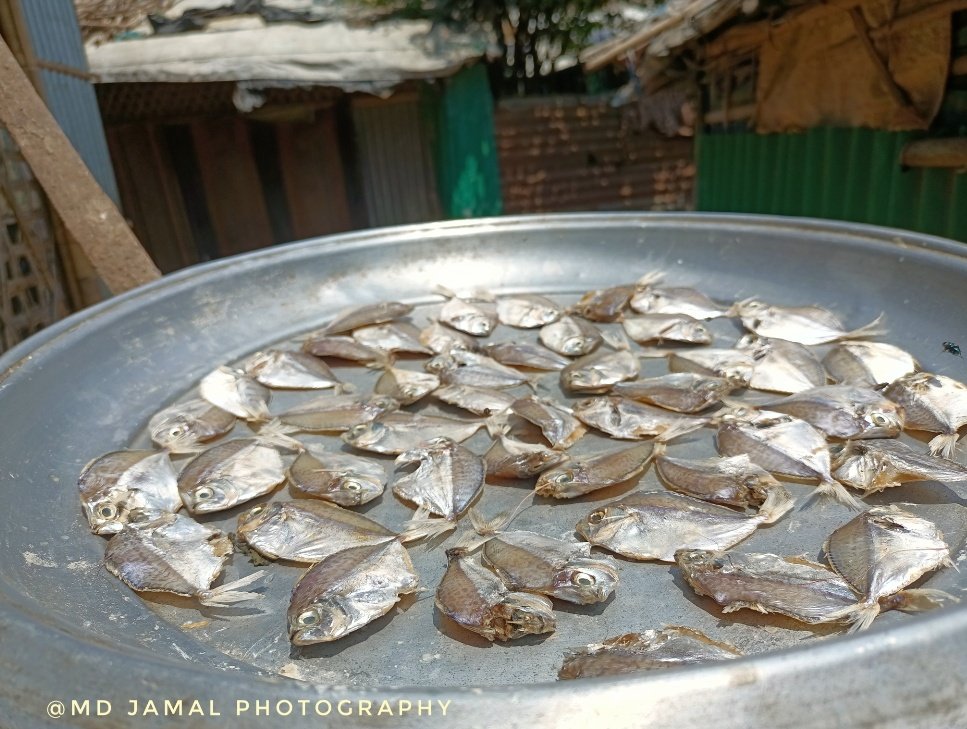 mdjamal315's tweet photo. A small fish is taken from the market and dried like this
Rohingya Refugees camp in Bangladesh #refugeesinbangladesh #refugeecrisis #fish #largestrefugeecampintheworld #rohingya #suffering #thisisnotlife
#refugeecamp #kutupalongrefugeecamp
#ukhia #coxsbazar
#beautifulbangladesh https://t.co/2uHCamrHUJ