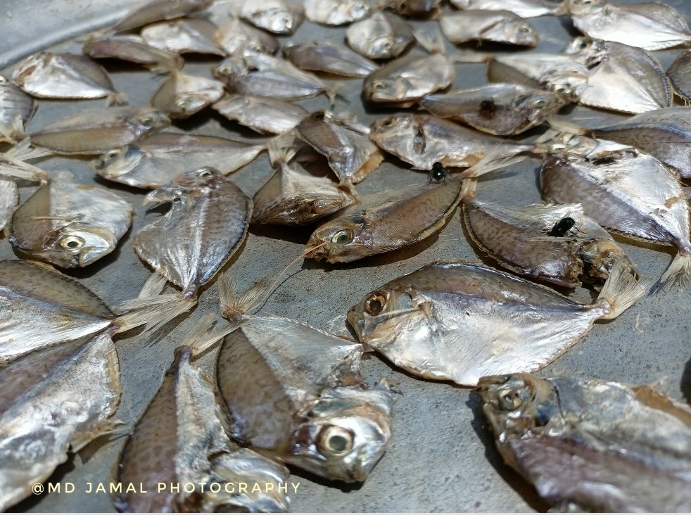 mdjamal315's tweet photo. A small fish is taken from the market and dried like this
Rohingya Refugees camp in Bangladesh #refugeesinbangladesh #refugeecrisis #fish #largestrefugeecampintheworld #rohingya #suffering #thisisnotlife
#refugeecamp #kutupalongrefugeecamp
#ukhia #coxsbazar
#beautifulbangladesh https://t.co/2uHCamrHUJ