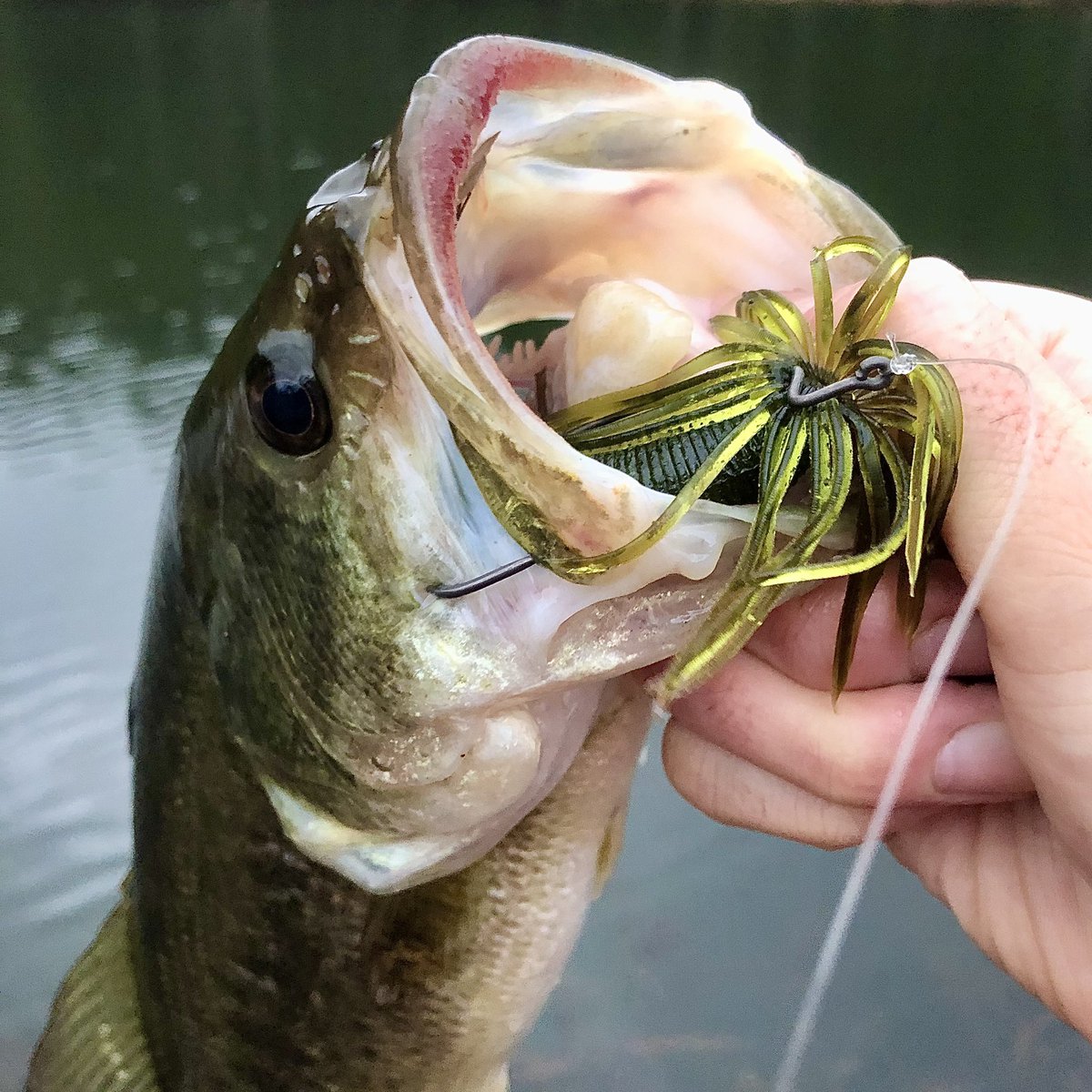 昨日の釣果🐟
2日間頑張ったのに2匹、、、