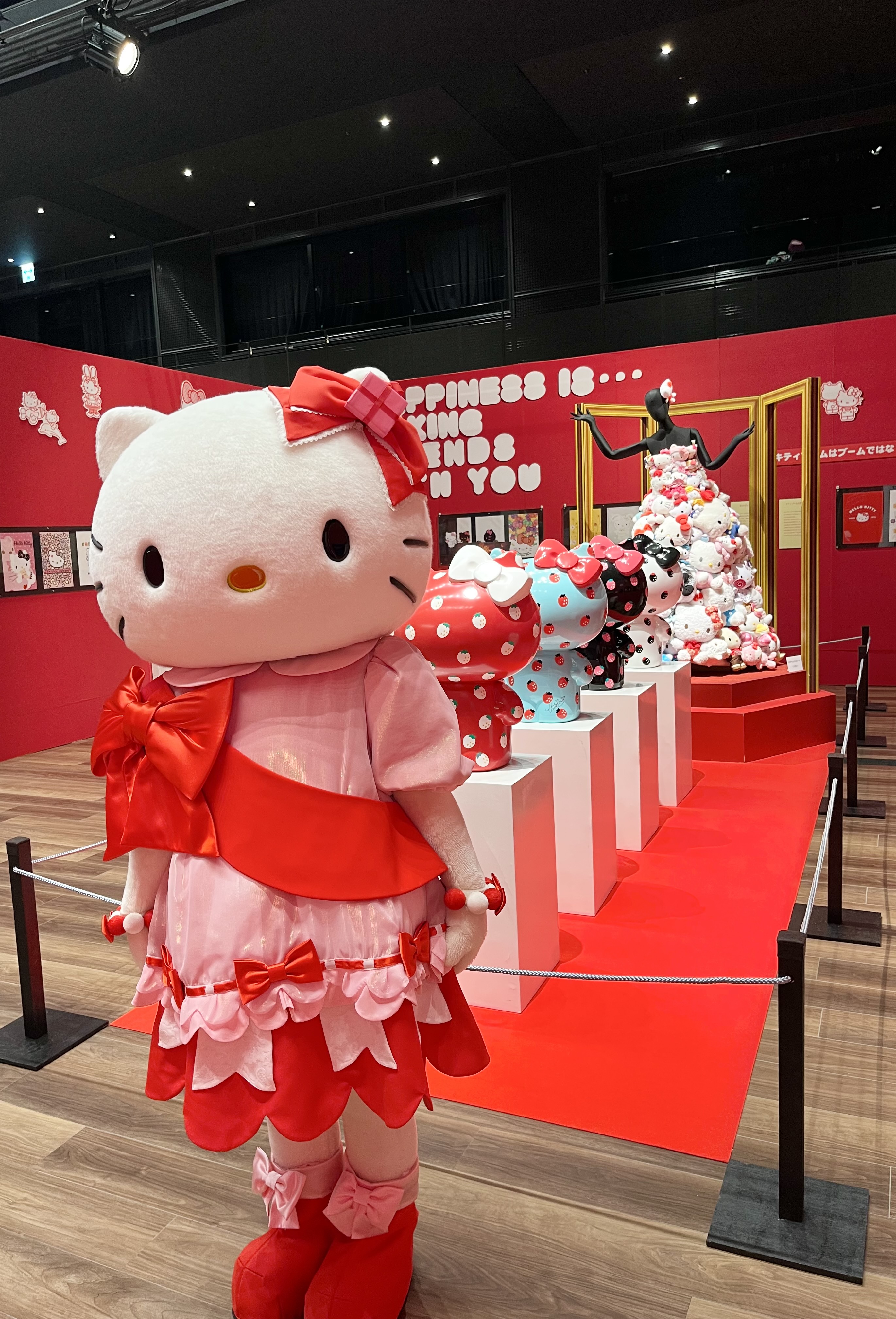 【希少　未使用】はろうきてぃ 　絵変り　どんぶり　9客　サンリオ　ハローキティ 希少 未使用】はろうきてぃ 絵変り どんぶり 9客 サンリオ