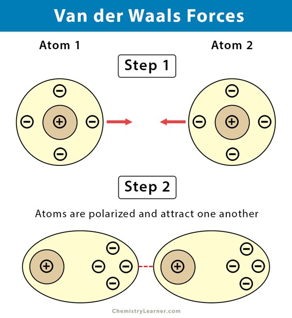 Science! on Twitter "How do geckos climb? The answer might surprise