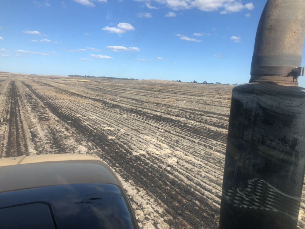 Giving the snails some sunburn