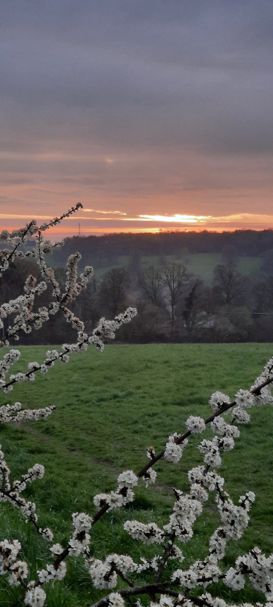 JC EARLY SUNRISES tweet media