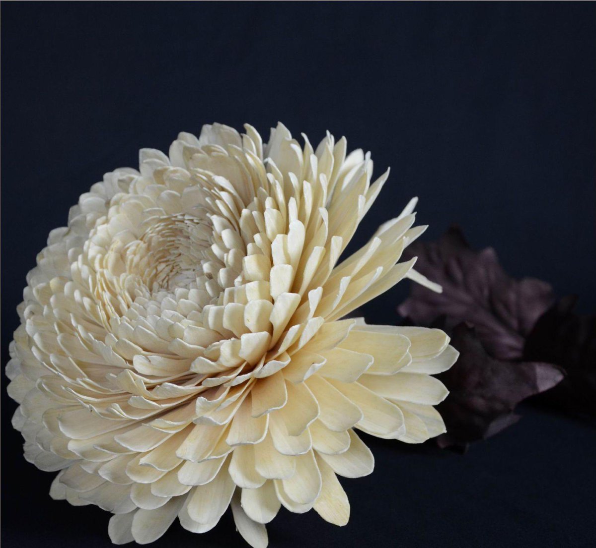 prc9999's tweet photo. sola flower，which are made of Tongcao (Tongcao wood)，and originated from the Tang and Song dynasties
#solaflower #IntangibleCulturalHeritage
#chineseculture #chineseart #Handiwork #Handmadeproducts #Culturalheritage #flower #chinesestyle https://t.co/ptXDIBPIHJ