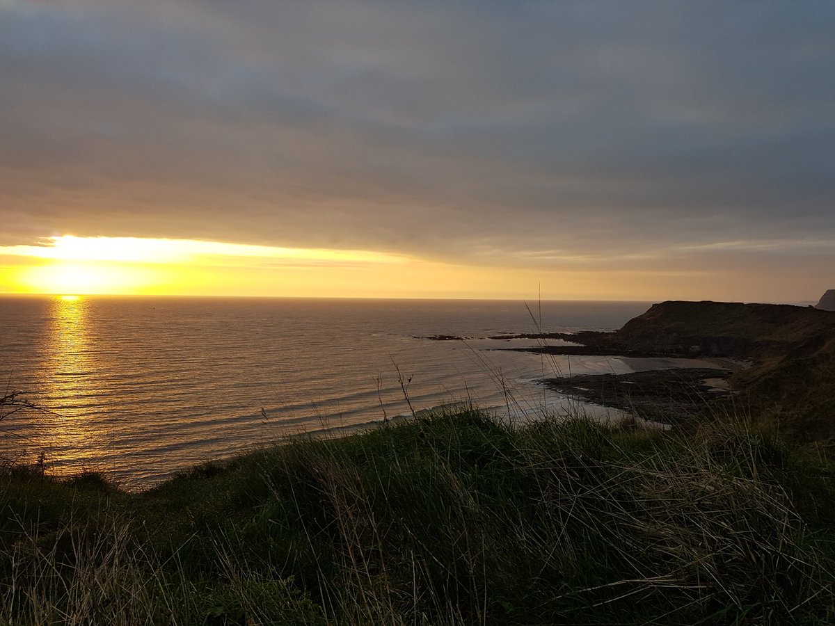 FionaMuxlow's tweet photo. @zoerichardsuk I abandoned writing for a walk along the coastal path above Scarborough. A gorgeous morning. https://t.co/61kere1890