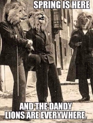 A little spring humor: