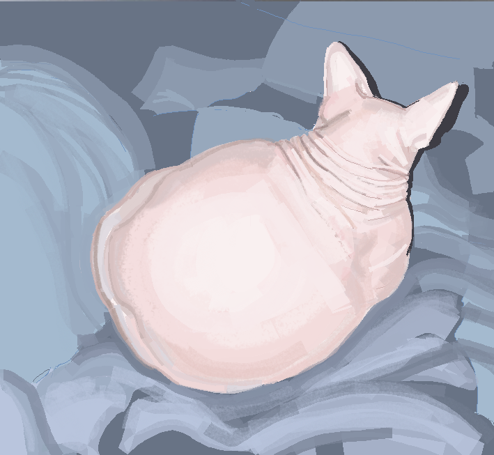 offmedsonline's tweet photo. love this chicken breast. was fun to draw https://t.co/xRcYdxXJga