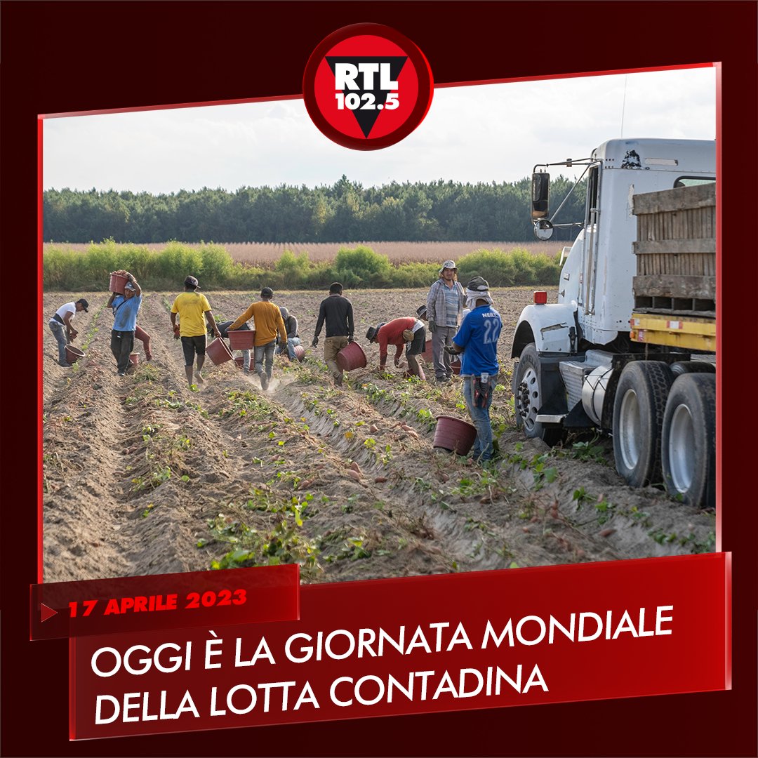 📅👨🏼‍🌾 Oggi è la giornata mondiale della #LottaContadina, promemoria contro lo #sfruttamento dei #lavoratori e per una migliore #PoliticaAgricola. Secondo le ultime stime, sarebbero ad oggi 230.000 i lavoratori impiegati irregolarmente nel #SettoreAgricolo italiano