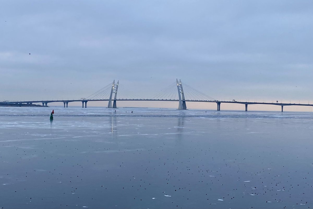 UfaTime's tweet photo. На Пасху в Петербурге волонтеры спасли истощенного тюленя https://t.co/mvnLZEiAEJ https://t.co/LvORHrzVyE