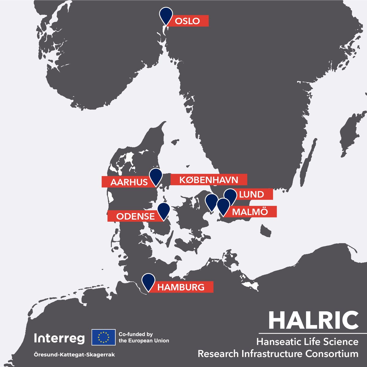 SDU eScience Center (@sduescience) on Twitter photo 🏥 We’re part of the <a href="/HALRIC_EU/">HALRIC (HALOS 2019-22)</a> Consortium, where we will contribute to the development of the so-called Hanseatic Science Cloud (HSC) 👉escience.sdu.dk/index.php/news… 🏥 We’re part of the <a href="/HALRIC_EU/">HALRIC (HALOS 2019-22)</a> Consortium, where we will contribute to the development of the so-called Hanseatic Science Cloud (HSC) 👉escience.sdu.dk/index.php/news…