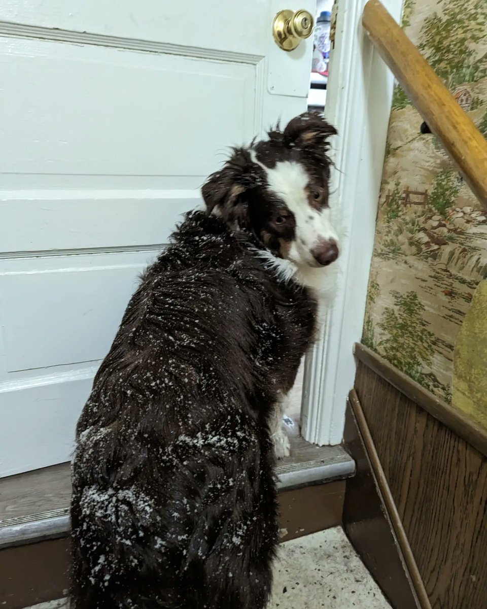 _Hi_im_luke's tweet photo. Kinda snowmy https://t.co/D70U00Ft4R