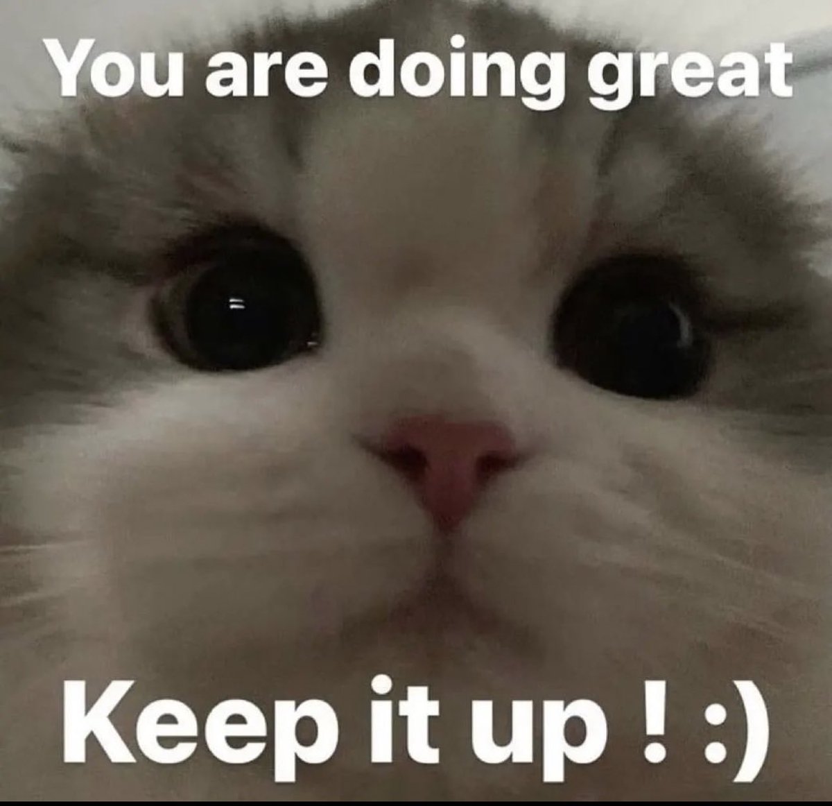 AstralClient's tweet photo. to everyone who knew where to download instead of asking in general https://t.co/P1TyPXuSPa