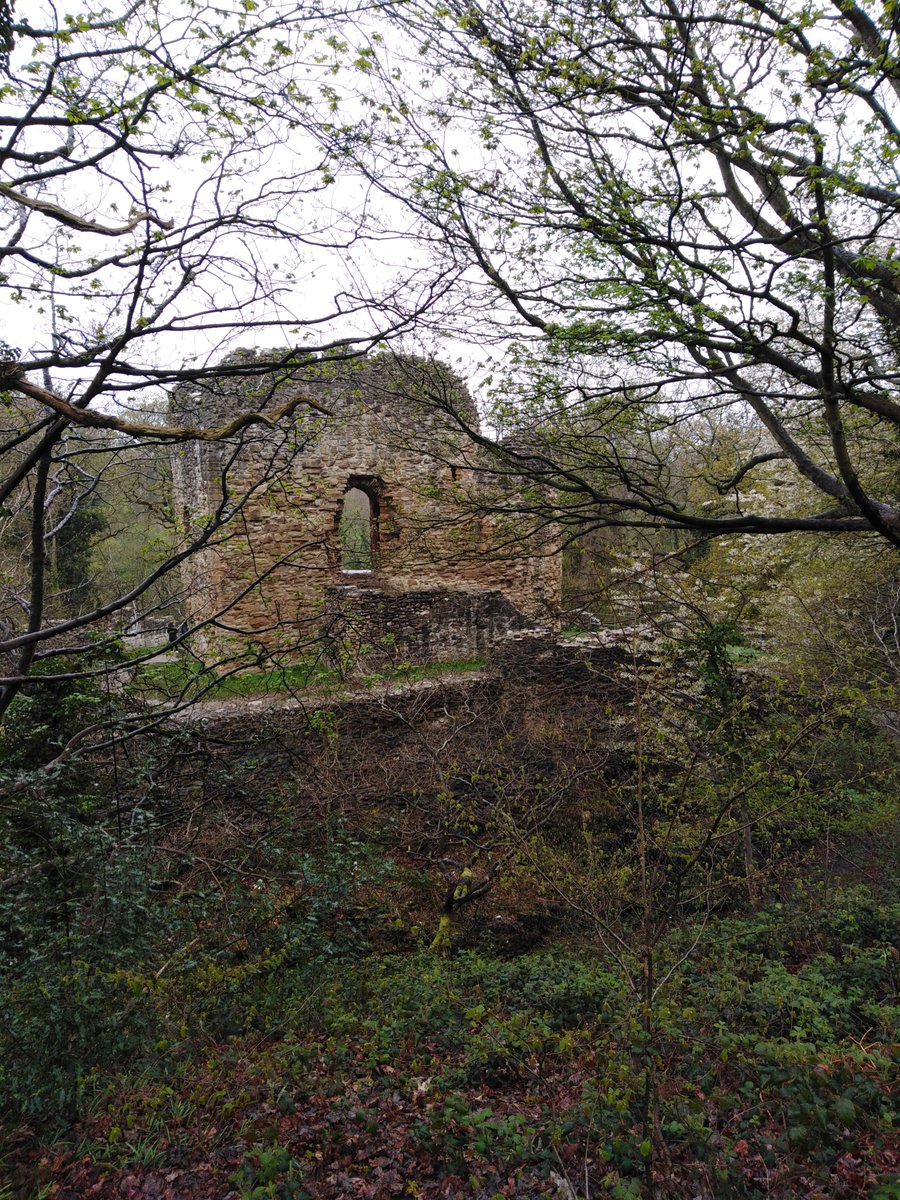 We are in Wales looking at castles. This one is Ewloe which is weird because is was hidden in  wooded valley amd built by tbe Welsh themselves.