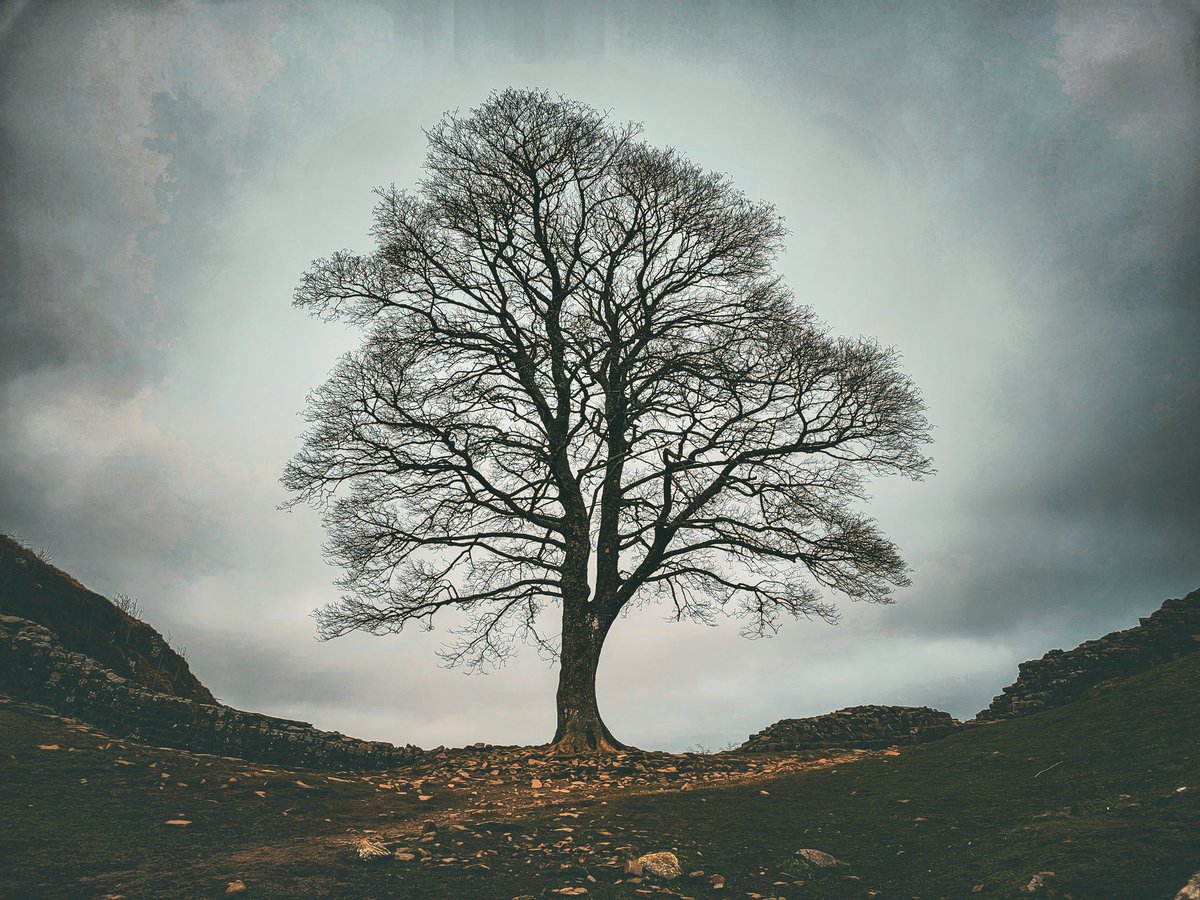 hollycharlton15's tweet photo. Dark clouds over Sycamore Gap https://t.co/rpIBYfzTq2