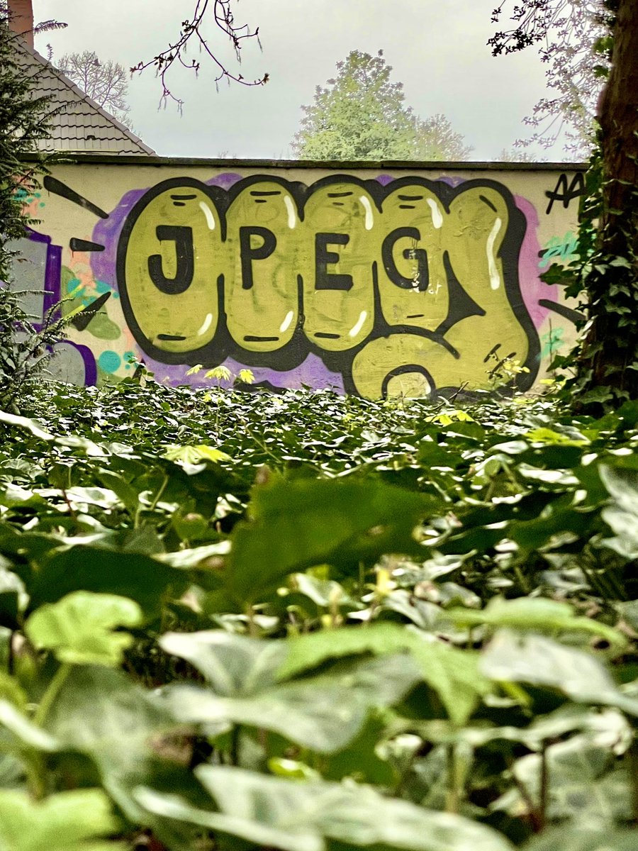 dirk döring tweet media