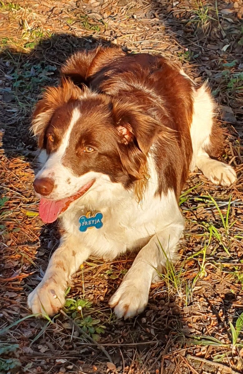 iparatx's tweet image. Invertir en valor

No juego (no compro lotería navidad, ni quinielas..) Un amiguete con el que estaba de ronda me apuntó en enero y febrero a una "bolilla" de un bar. Le apunté yo los siguientes hasta abril

Wassap vespertino. La mitad para mi amiguete por alegrarme el lunes