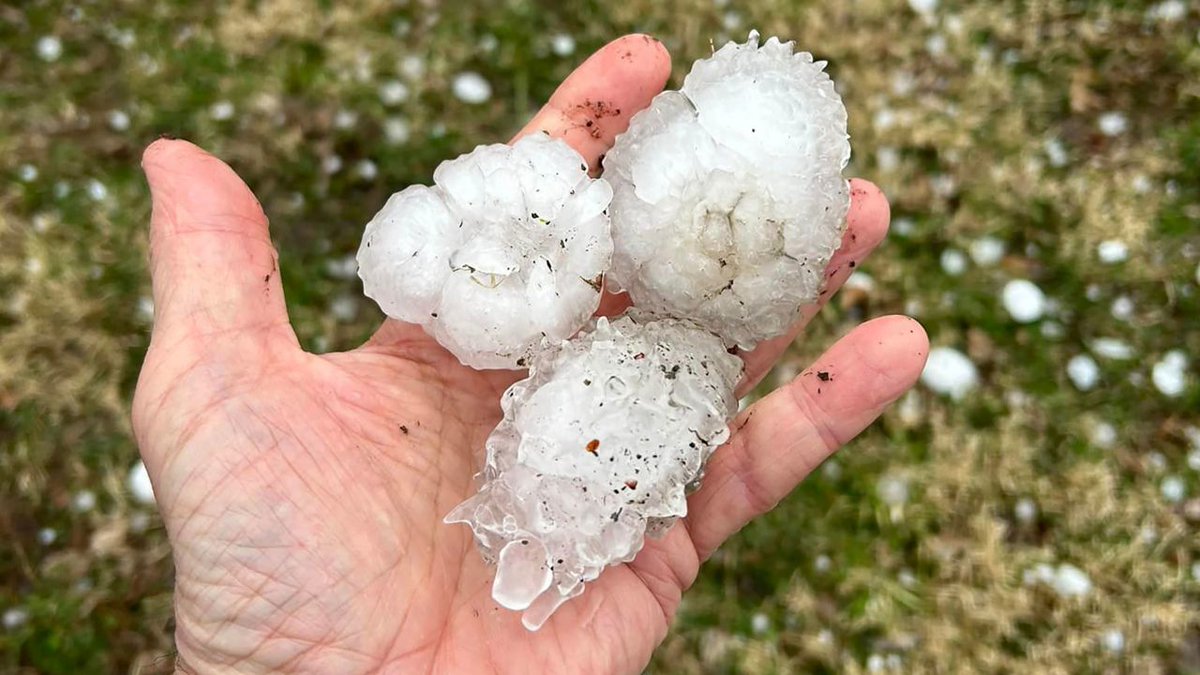 acgreencustom's tweet photo. Since the start of 2023, there has been much severe weather occurred. We need to think seriously about it and why?
Areas hit hard in recent weeks by tornadoes could face severe weather again this weekend.
It's time to act!
#ClimateEmergency #ExtremeWeather #Tonadoes https://t.co/Ez5o0ovY7g