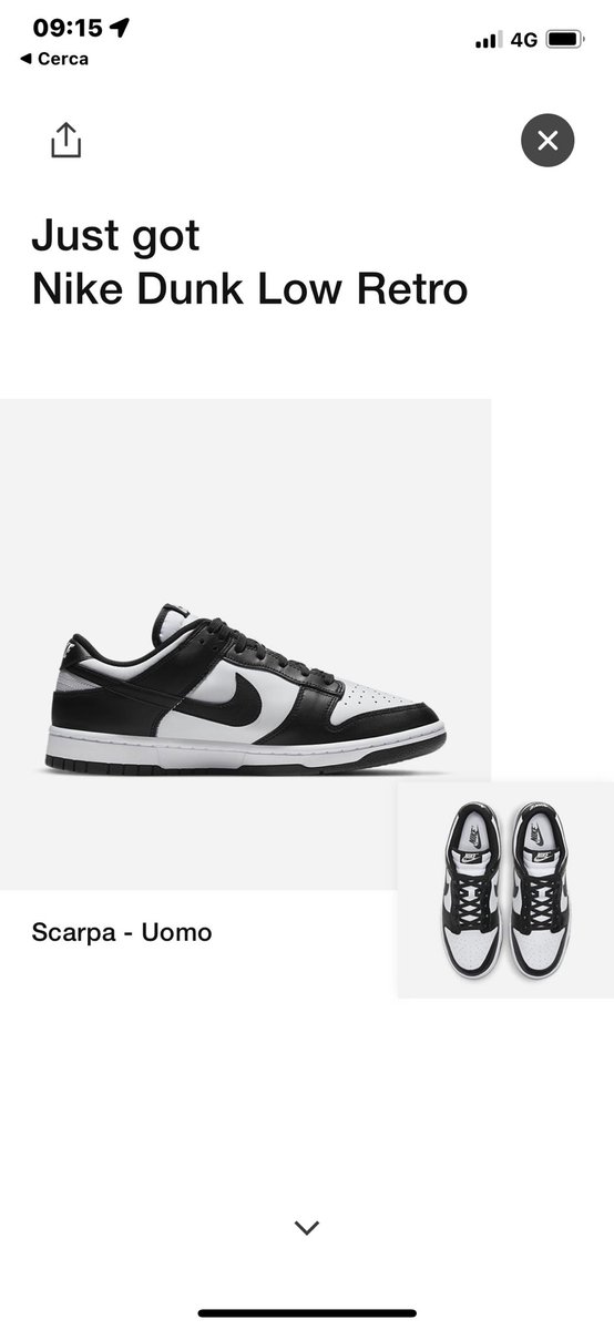 SneakersOurWorld (StylePushers) tweet media