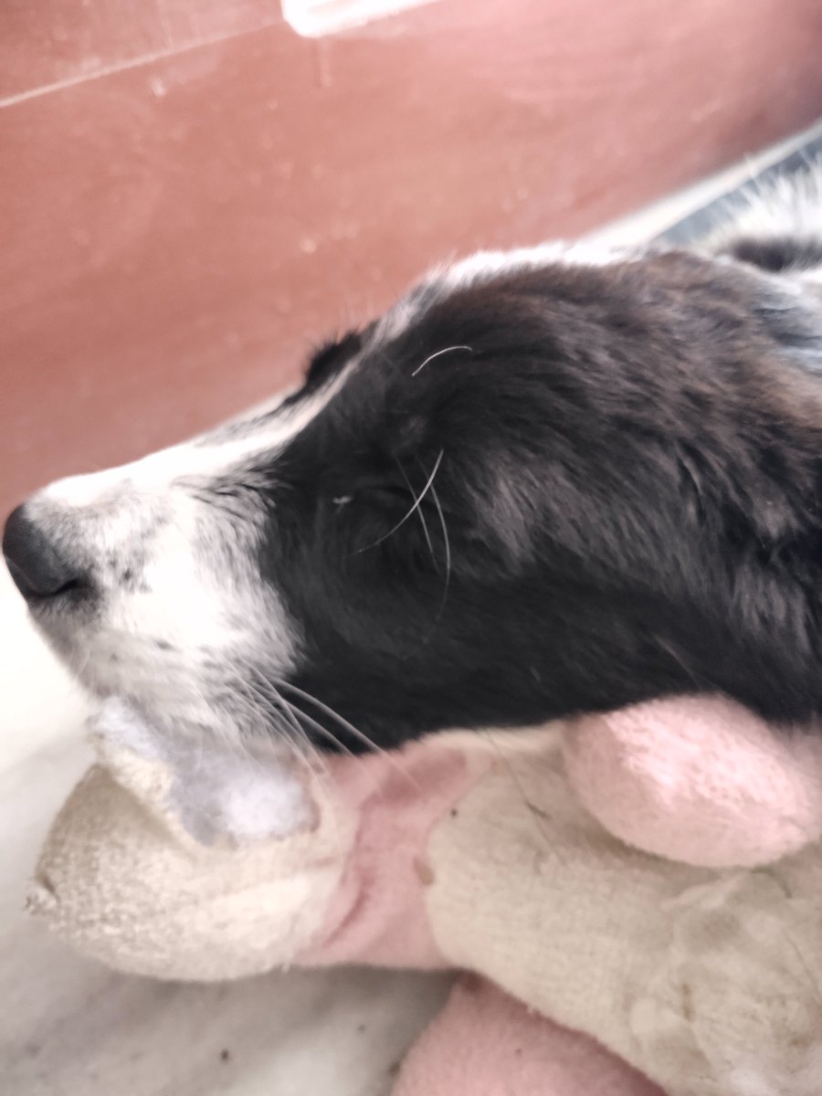 priyapth380's tweet image. My Monday mood, hope everyone is feeling that much refreshed.....😄😅😄
#phdlife #mondaymotivation #phdthoughts #phdvoice #acedemialife #phdmotivation #phdinnervoice #phdmemes #phdcaption....