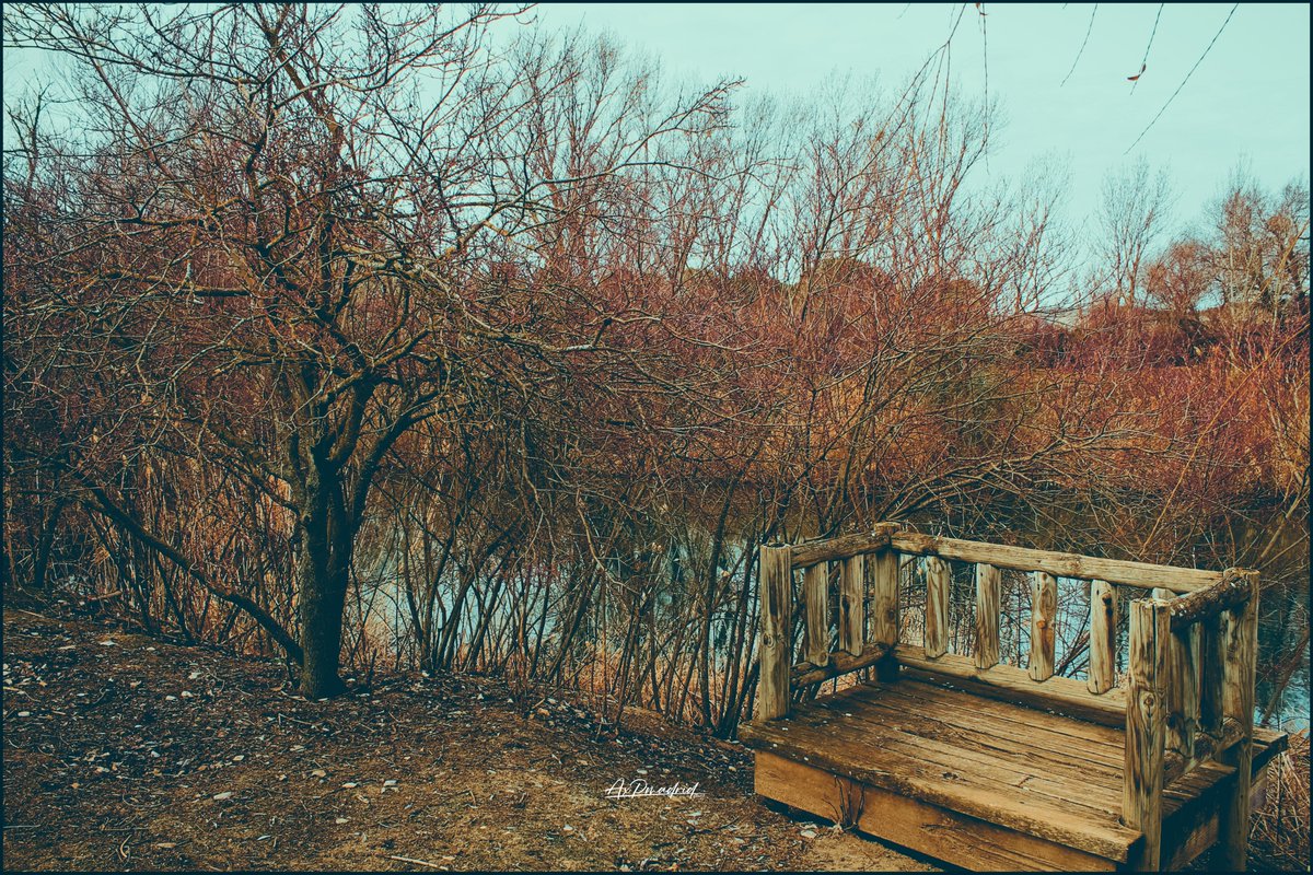 axp0000009's tweet photo. #fotografia #naturaleza #NaturePhotography #photography https://t.co/GfgRwEgtKW
