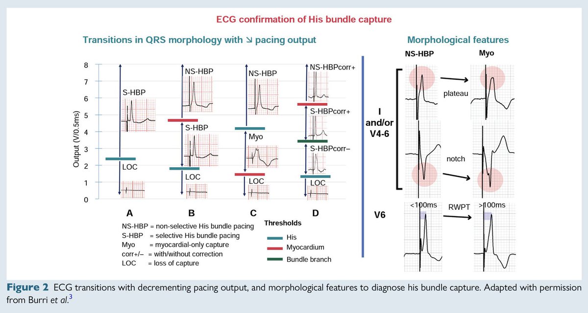 Mirek Navratil tweet media