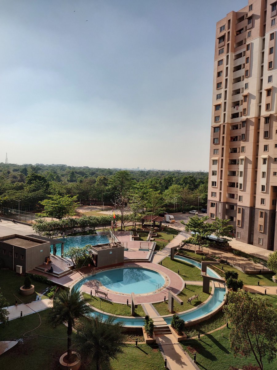 Shenaniganist on Twitter "Looking for a flat mate in a semi furnished