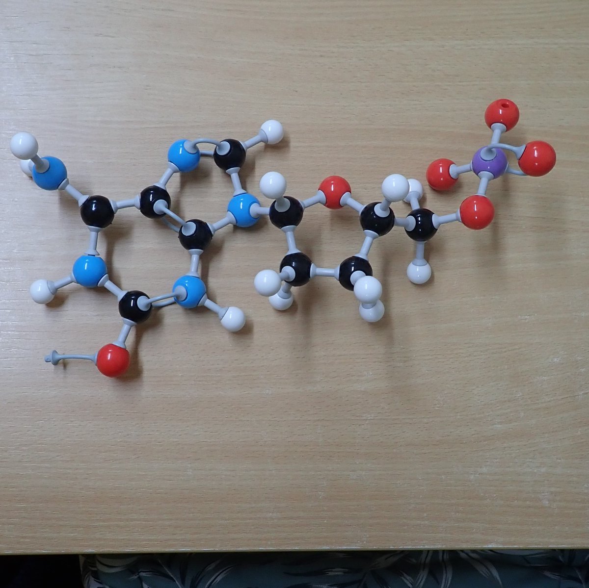 Exploring the composition and function of DNA through various models at different scales. Fascinating to see how purine and pyrimidine rings bond through hydrogen bonds! #DNAMysteries #ScienceFun #HydrogenBonds