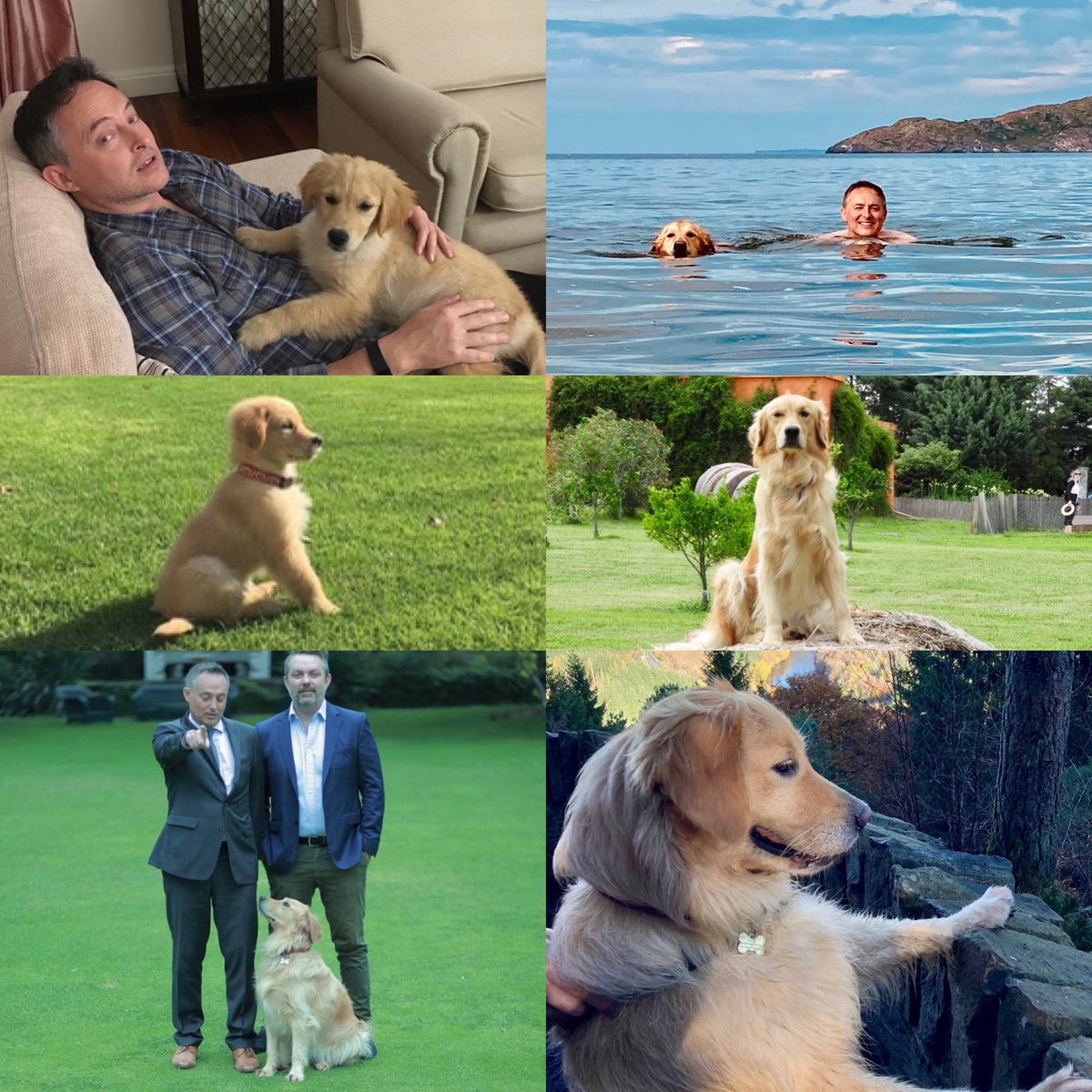 Happy 6th Birthday Bella! From #Uruguay 🇺🇾 to #Chile 🇨🇱 to #Scotland🏴󠁧󠁢󠁳󠁣󠁴󠁿 . ❤️ 

Feliz cumpleaños a nuestra charrúa y #diplodog Bella. Te amo 🥰.