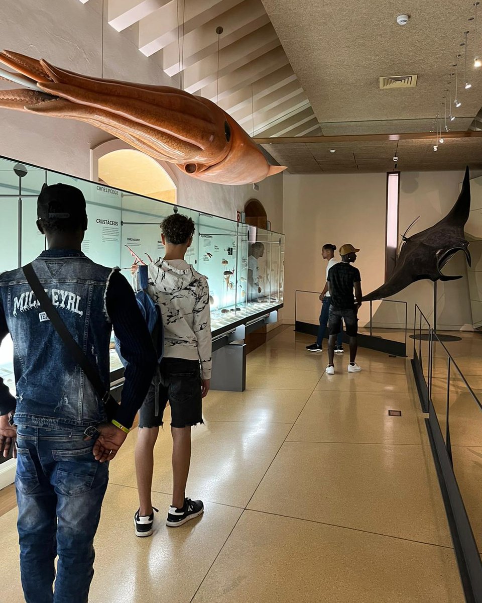 Recientemente, lo jóvenes del proyecto de
Canarias han estado visitando el #muna Museo de
Naturaleza y Arqueología de Santa Cruz de Tenerife.
Un experiencia para expandir el conocimiento y
contemplar la geología y otros aspectos del medio
físico del litoral canario
