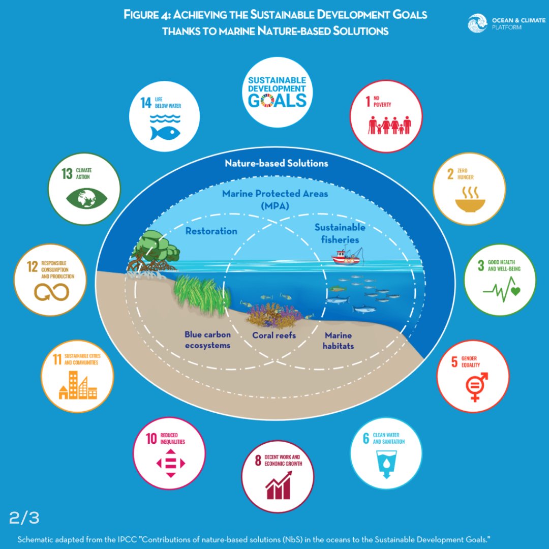 ocean_climate's tweet photo. [#WhatOceanForTomorrow] 💡An #OceanOfSolutions exists to tackle #climatechange: Marine #NbS🌱provide #mitigation and #adaptation responses for a more #sustainable planet #SDGs🌍

👉 Learn more: https://t.co/2qdzfUX96A https://t.co/s35ZhgH5AQ