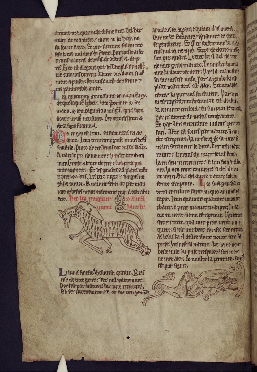 It’s shaping up to be an exciting week!

First, I get to be a part of the #CROSSREADS workshop on abbreviation at @MertonCollege, where I’ll talk about the Merton bestiary 🦁⬇️

Then, there’s the @OxMedGradConf, where I’m presenting on authorship 📖

Can’t wait!

#Medieval