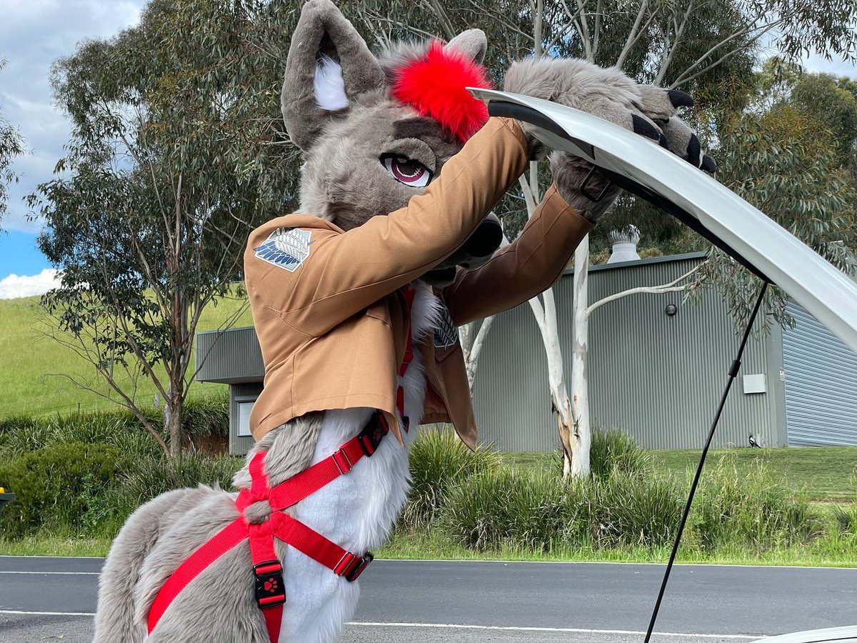 ✨DUST✨ tweet media