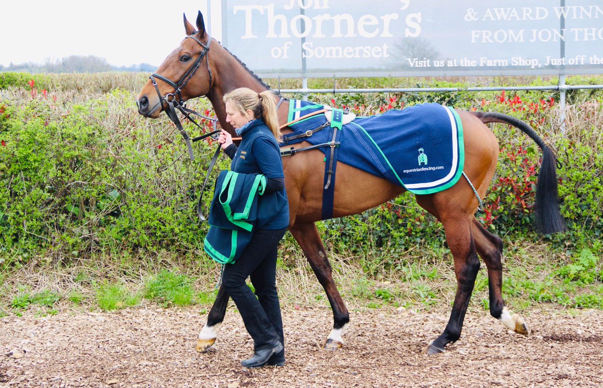 Chrisgordonrac1's tweet photo. Stanley Pincombe ran well in defeat yesterday at @wincantonraces to finish second, being no match for the clear winner in the end. He’s home safe and sound and another positive run from him 💪🏼🐎 @chrisgordon68 @willkellard https://t.co/beyvdkRvjd