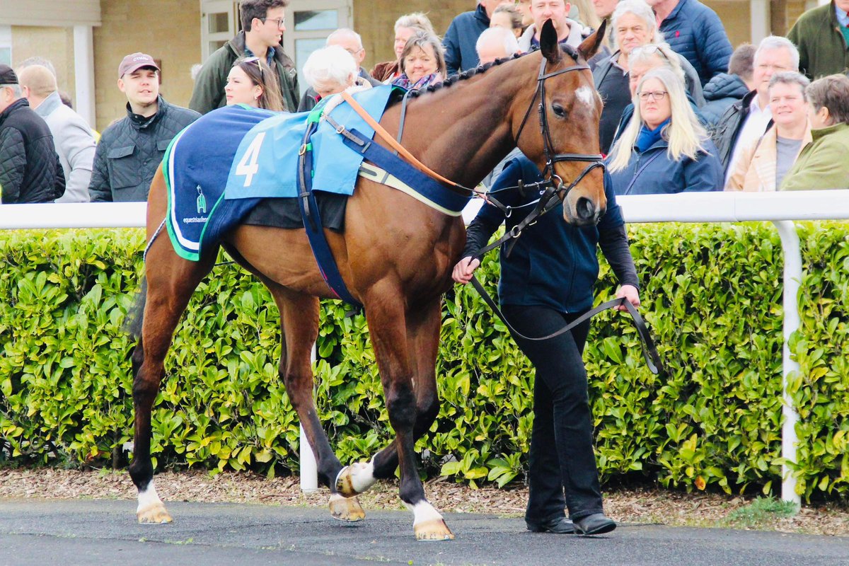 Chrisgordonrac1's tweet photo. Stanley Pincombe ran well in defeat yesterday at @wincantonraces to finish second, being no match for the clear winner in the end. He’s home safe and sound and another positive run from him 💪🏼🐎 @chrisgordon68 @willkellard https://t.co/beyvdkRvjd