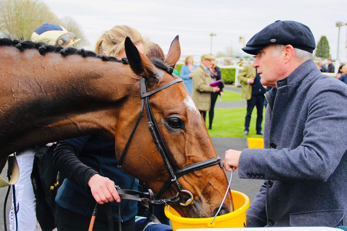 Chrisgordonrac1's tweet photo. Stanley Pincombe ran well in defeat yesterday at @wincantonraces to finish second, being no match for the clear winner in the end. He’s home safe and sound and another positive run from him 💪🏼🐎 @chrisgordon68 @willkellard https://t.co/beyvdkRvjd