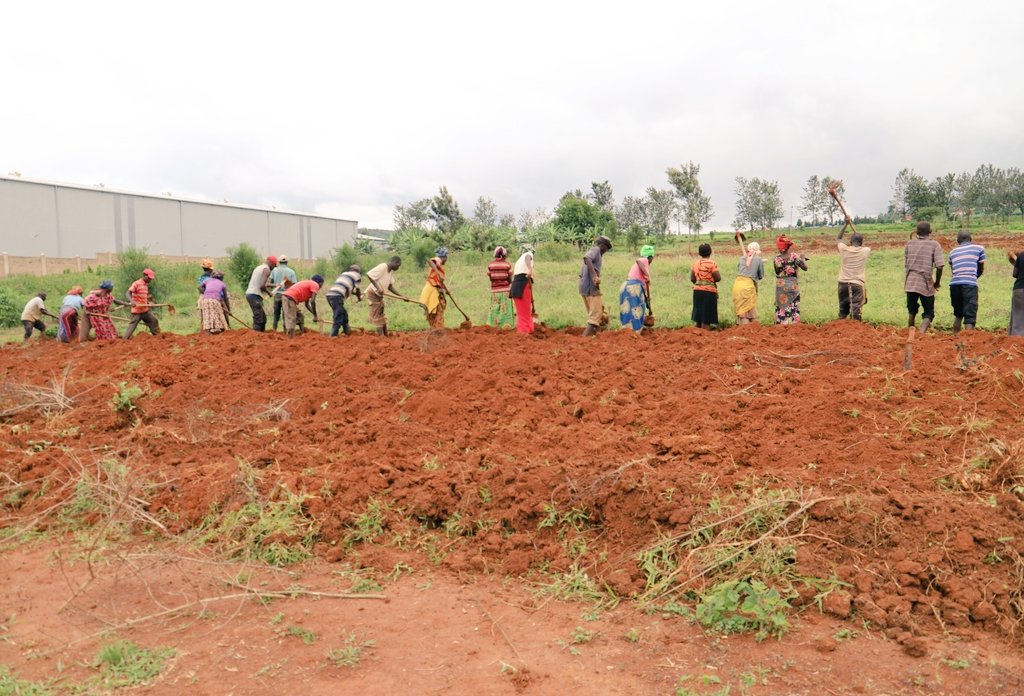 GSF_RC's tweet image. Ubuhinzi ni imwe mu ngamba ifasha muri #SchoolFeedingProgram. @GSF_RC turashimira @BugeseraDistr na @NtaramaBugesera, ku inkunga yabo.

𝗔𝗺𝗮𝗳𝗼𝘁𝗼: 𝗨𝗯𝘂𝗵𝗶𝗻𝘇𝗶 𝗯𝘄&apos;𝗶𝗯𝗶𝗷𝘂𝗺𝗯𝗮 𝗺𝘂 𝗞𝗮𝗴𝗮𝗹𝗶 𝗸𝗮 #𝗞𝗮𝗻𝘇𝗲𝗻𝘇𝗲

@RwandaEast @RwandaLocalGov
@Rwanda_Edu