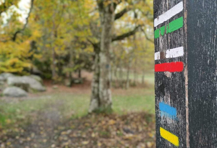 JulienVanC's tweet photo. 🧐Le saviez-vous ? La randonnée pédestre est née en forêt de #Fontainebleau ➡️https://t.co/fJ2fz6wT9a via @LaRep77 #SeineEtMarne #Denecourt #BaladeSympa https://t.co/98wZbcSVg6