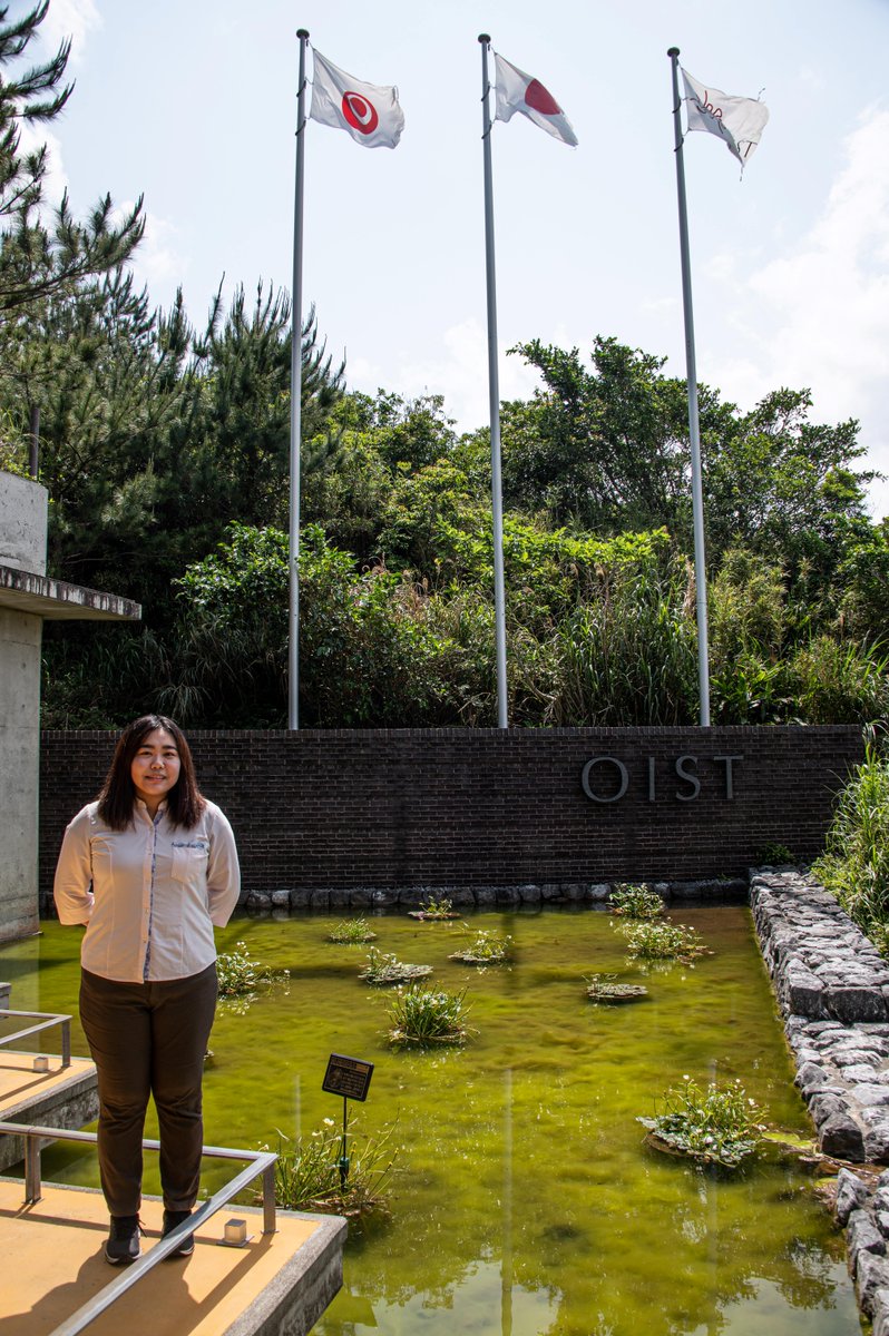 She joined OIST as an #outreach participant 👩‍🏫when she was a junior high school student for the first time, and also as a #research intern in 2020 and was immediately drawn to the melting pot of international researchers, collaborating across disciplines.
(2/5🧵) #OISTWomenInSTEM