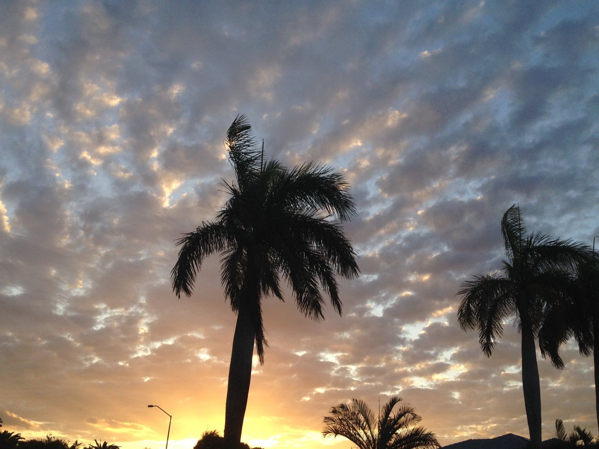 JeaneneHyles's tweet photo. tonight's last light 
#goldcaost #sunset https://t.co/fOFJuNCuPi