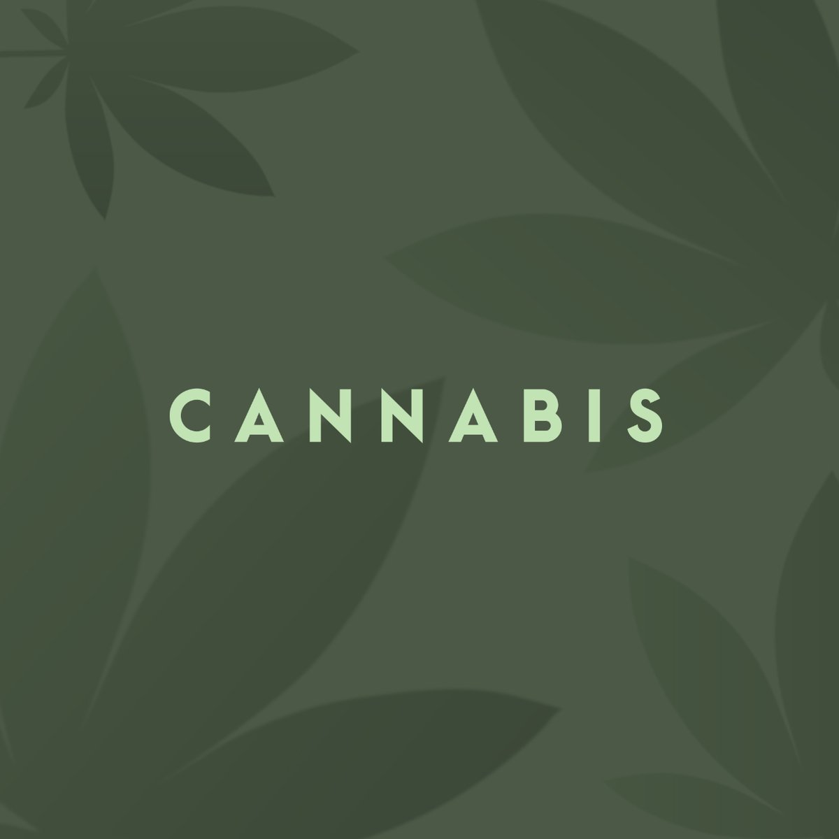 🟩 Consumo de #marihuana | ¿Afecta a la conducción?

👉 «Revisando el efecto de la marihuana recreativa en las muertes por accidentes de tráfico».

🔗 bit.ly/3lXFUdZ