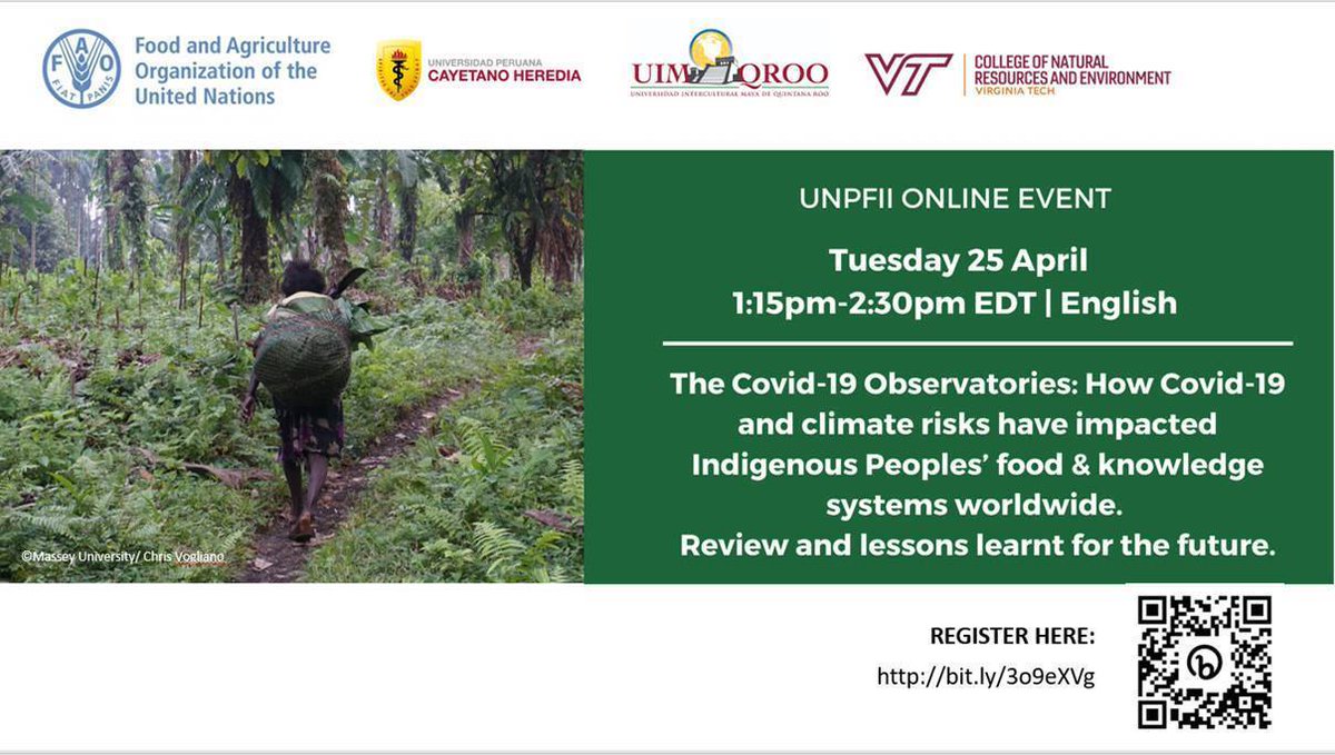 SAVE THE DATE | 25th APRIL | UNPFII SIDE-EVENT | The Covid-19 Observatories: How Covid-19 and climate risks have impacted Indigenous Peoples’ food and knowledge systems worldwide #WeAreIndigenous @ccadapt @FAOIndigenous @COVIDObservator @erangakg @jjaimemiranda @BGeorge47869610