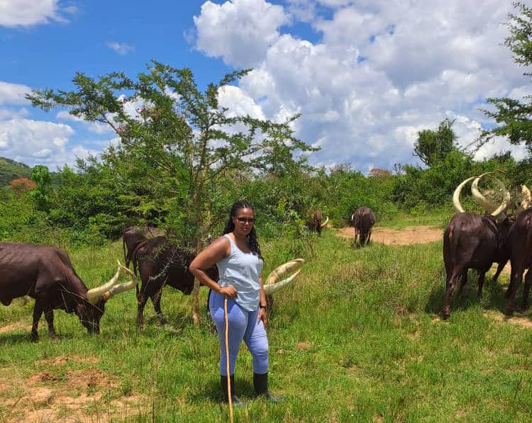 After a long time of unemployment in Kampala, I decided to embrace farming and agro tourism as a job! It is paying off! Ladies and youth join me! 
 In my office this morning! 
Do u like my office? 
#employment
#farming 
#youth
#ankolecattle