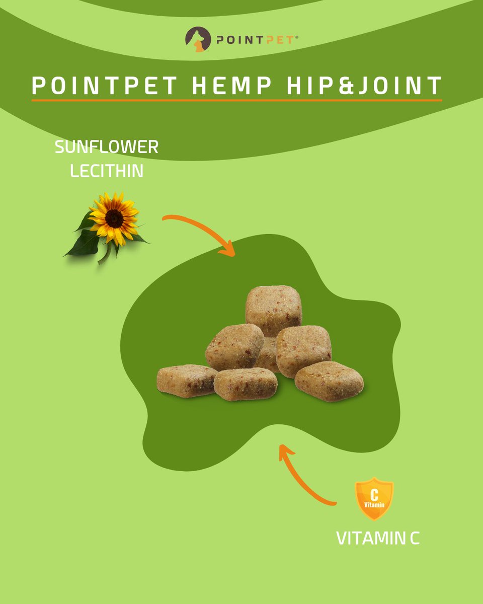 PointPetCom's tweet photo. Maintaining hip and joint health is crucial for our dogs. That's why we offer PointPet Hemp Hip &amp; Joint Supplements, specially formulated to support joint health. Check out our infographic to learn more about the premium ingredients. #doghealth #jointsupplements #hipsupport https://t.co/kgDWaWbmm4